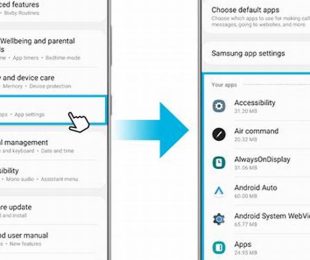 Menu Pengaturan Samsung Duos