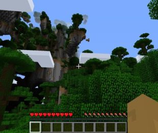 Anda dapat memainkan Minecraft dalam multipemain, tetapi Anda harus membuat server dan berbagi port dengan teman-teman Anda.  (Sumber: Kiat permainan tangkapan layar)