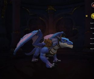 Di WoW Dragonflight Anda memiliki kesempatan untuk menyesuaikan layang-layang Anda secara visual.  (Sumber gambar: Blizzard Entertainment)