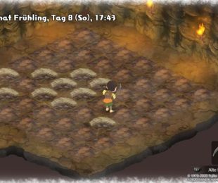 Dibandingkan dengan Story of Seasons: Friends of Mineral Town, jumlah ubin tidak pernah berubah di sini.  (Sumber: Tangkapan layar spieletipps.de)