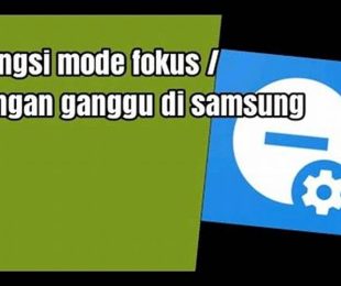 Jangan Ganggu Mode