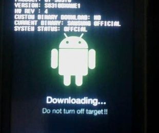 Pentingnya Melakukan Flashing Hp Samsung Gt S6310