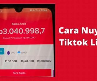 Cara Nuyul Tiktok