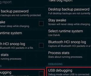 Aktifkan Debugging Usb Pada Hp