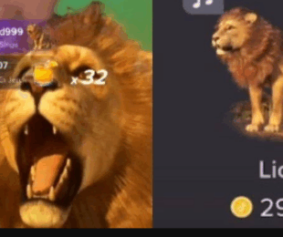 Gift Singa di TikTok Berapa Rupiah